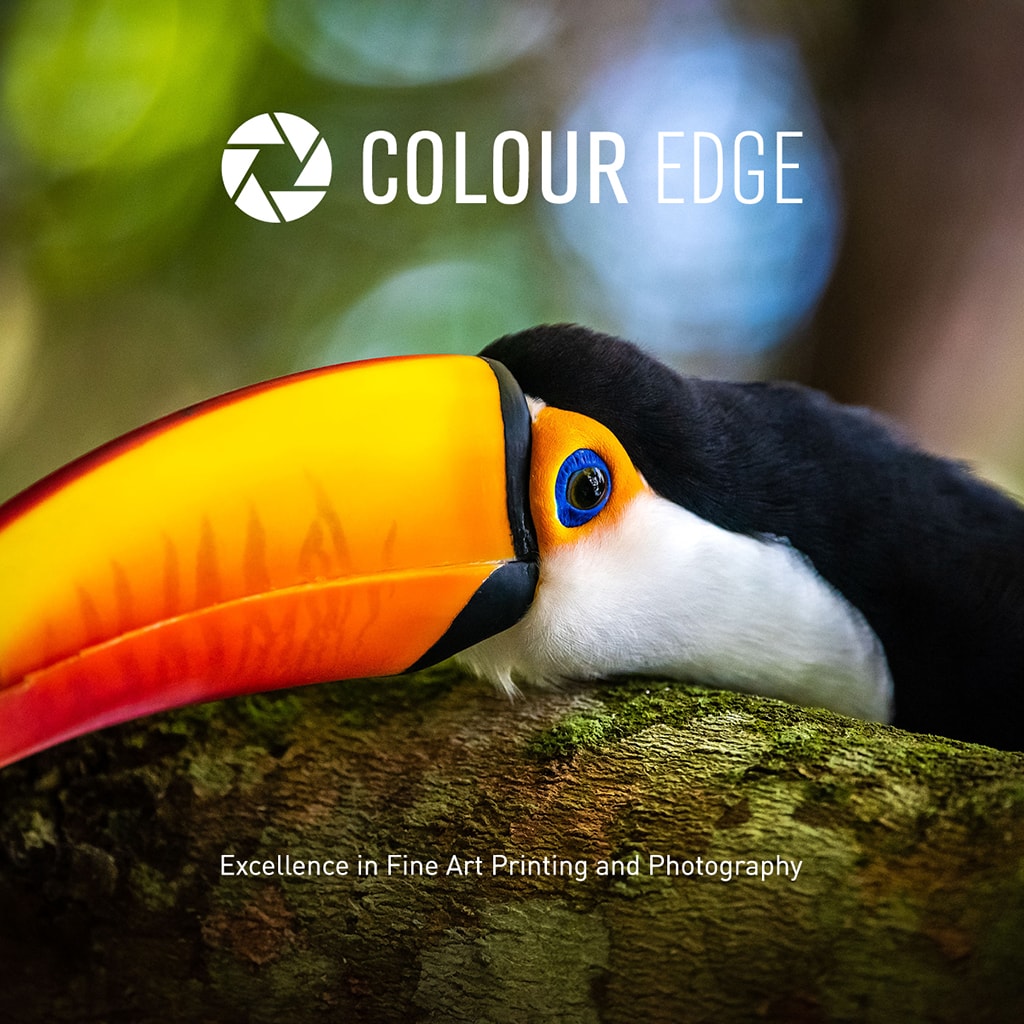 Colour Edge Logo