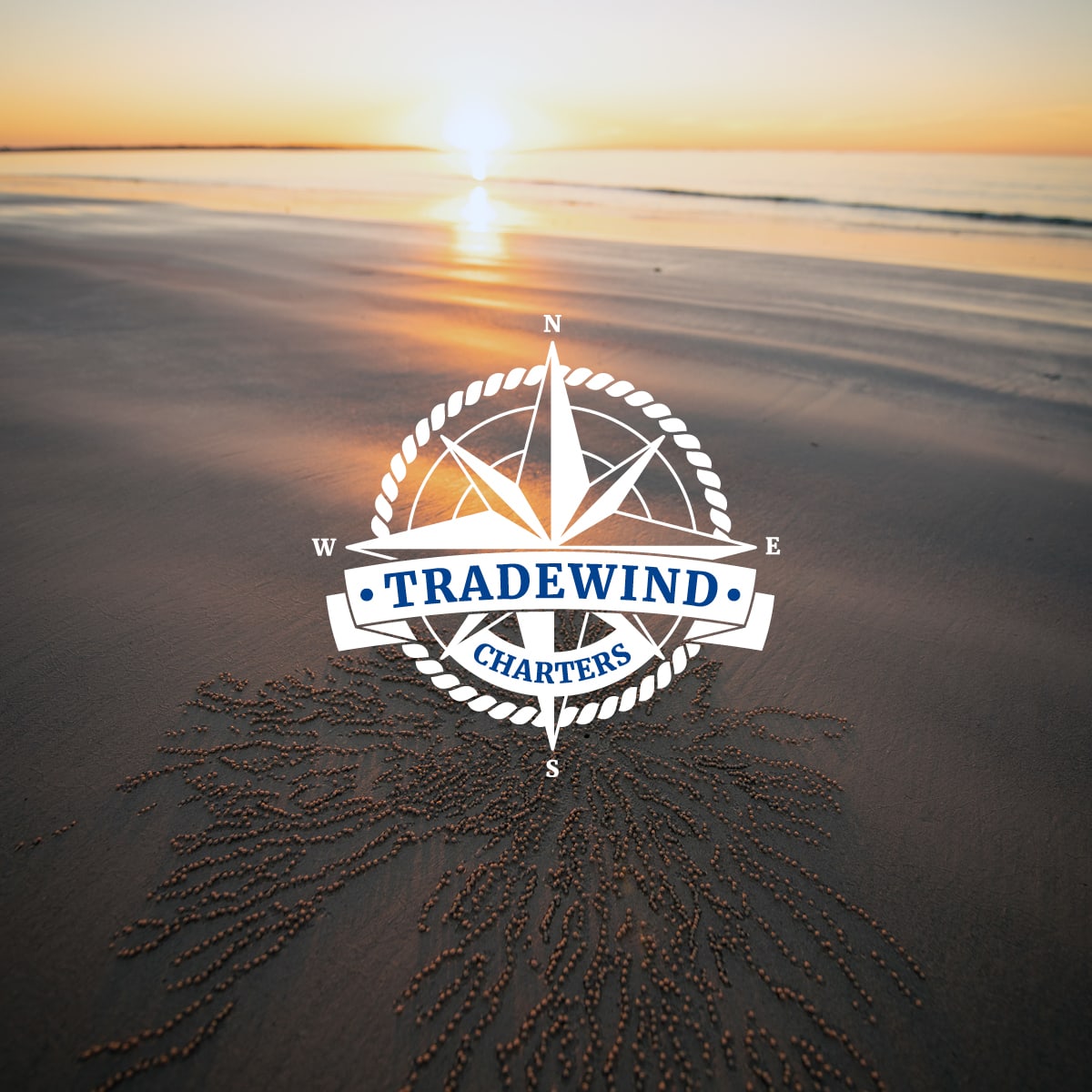 Tradewind Charters