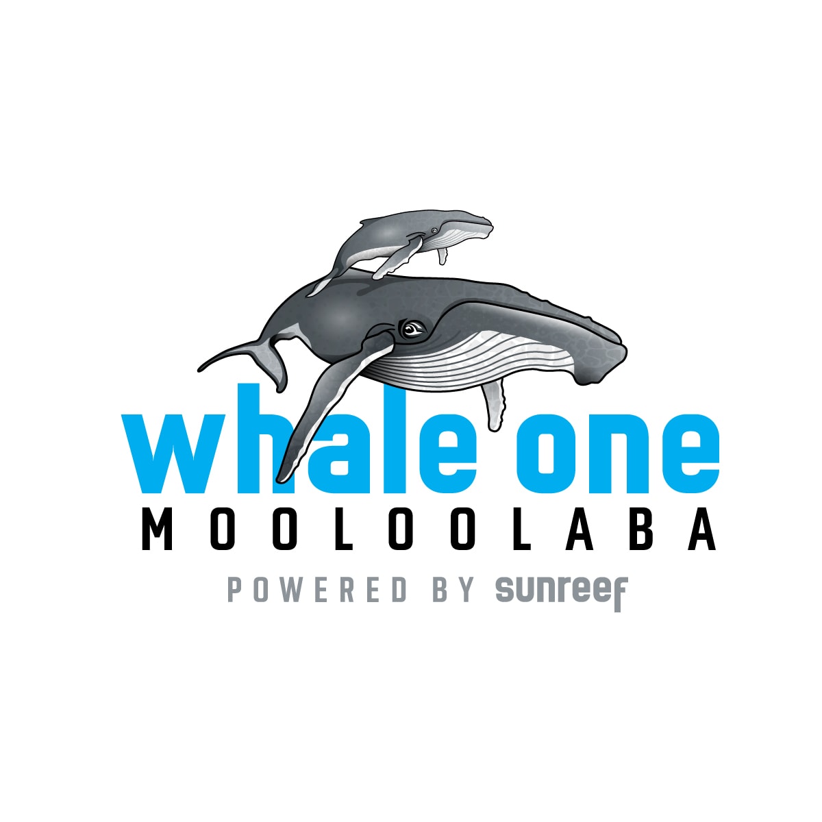 Sun Reef – Whale One Logo