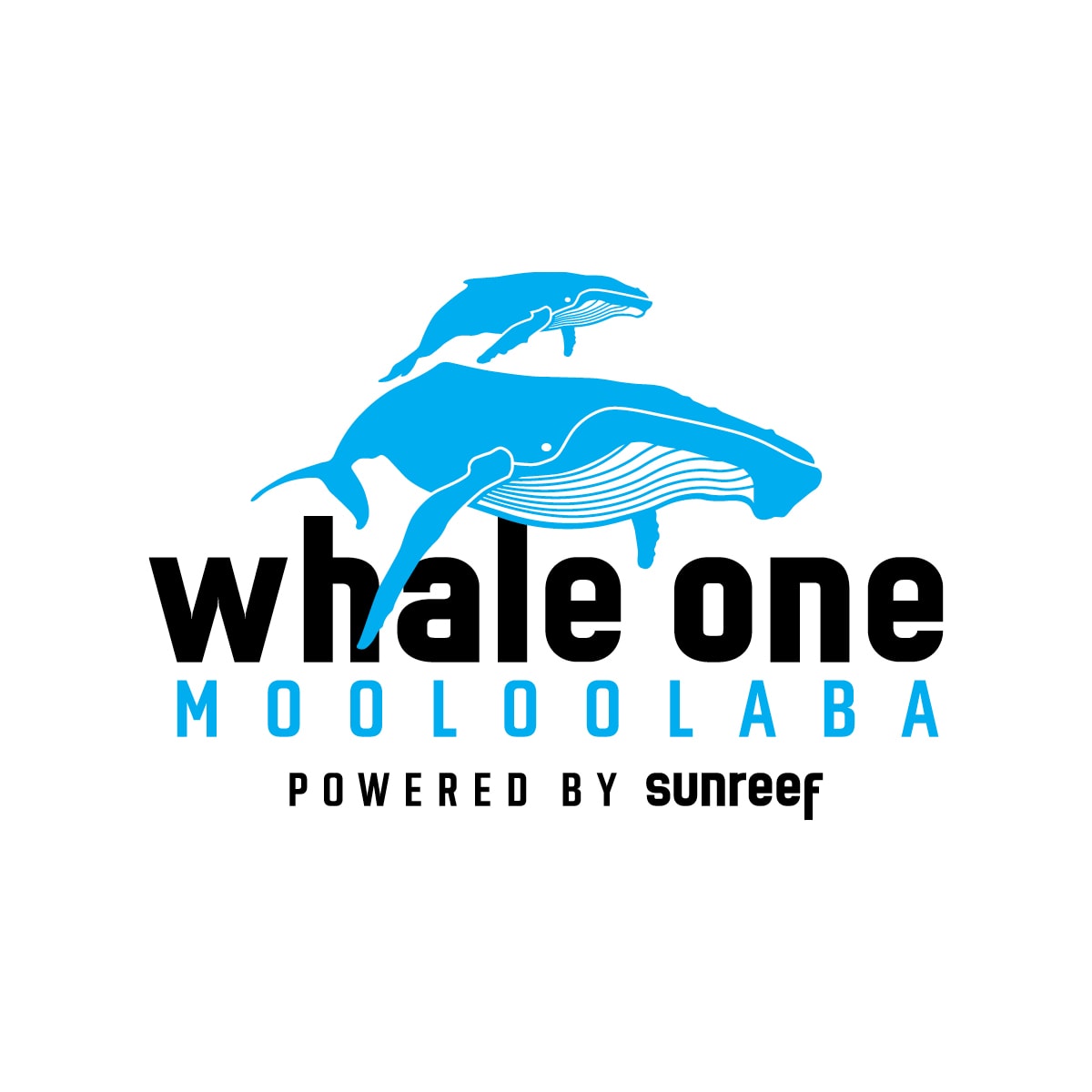 Sun Reef – Whale One Logo