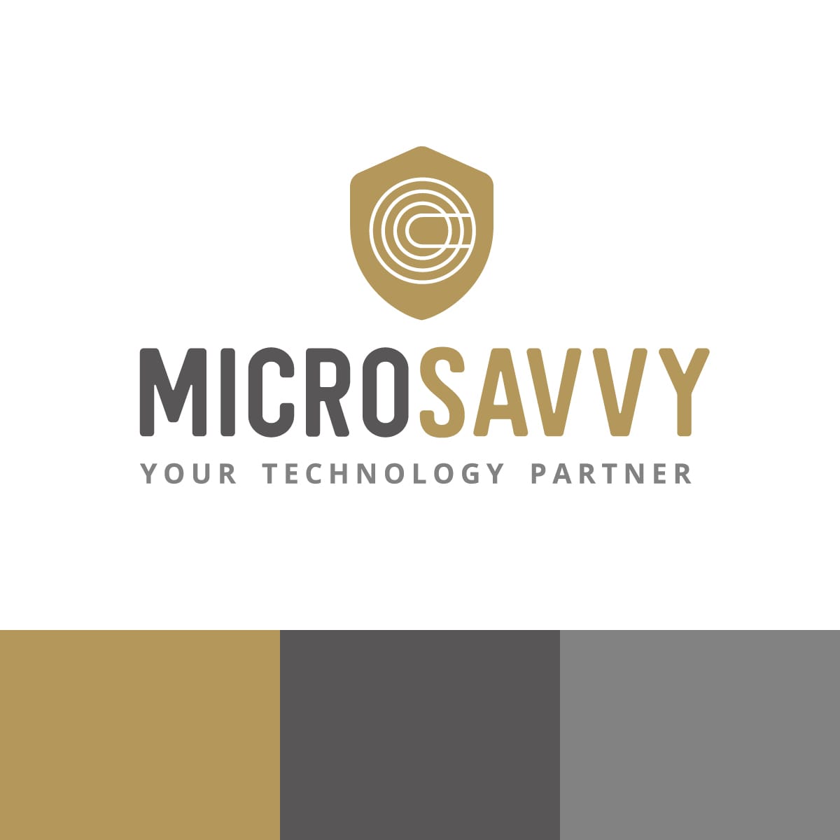 MicroSavvy Branding and Logo