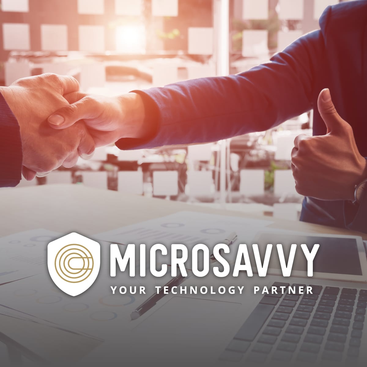 MicroSavvy Branding and Logo