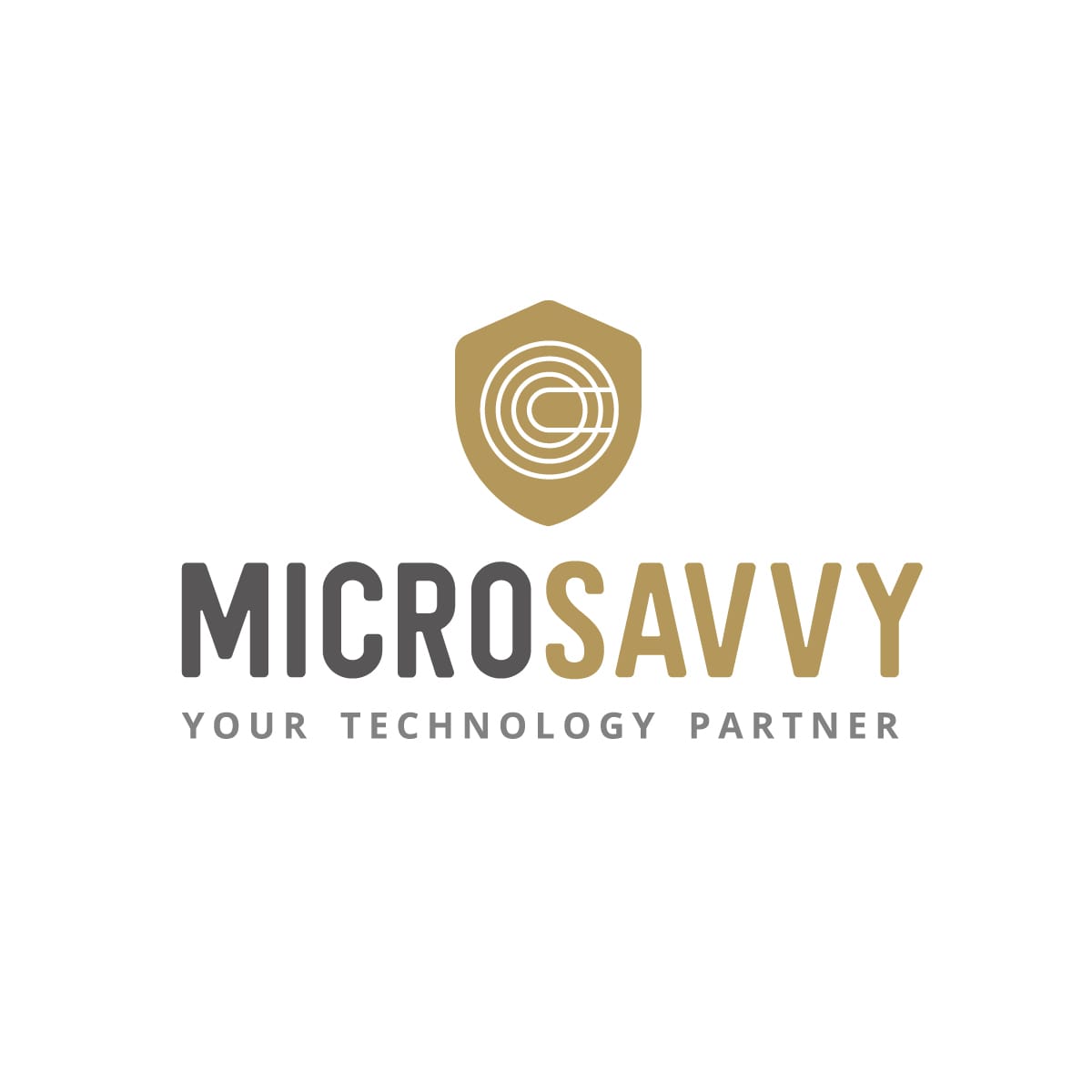 MicroSavvy Branding and Logo